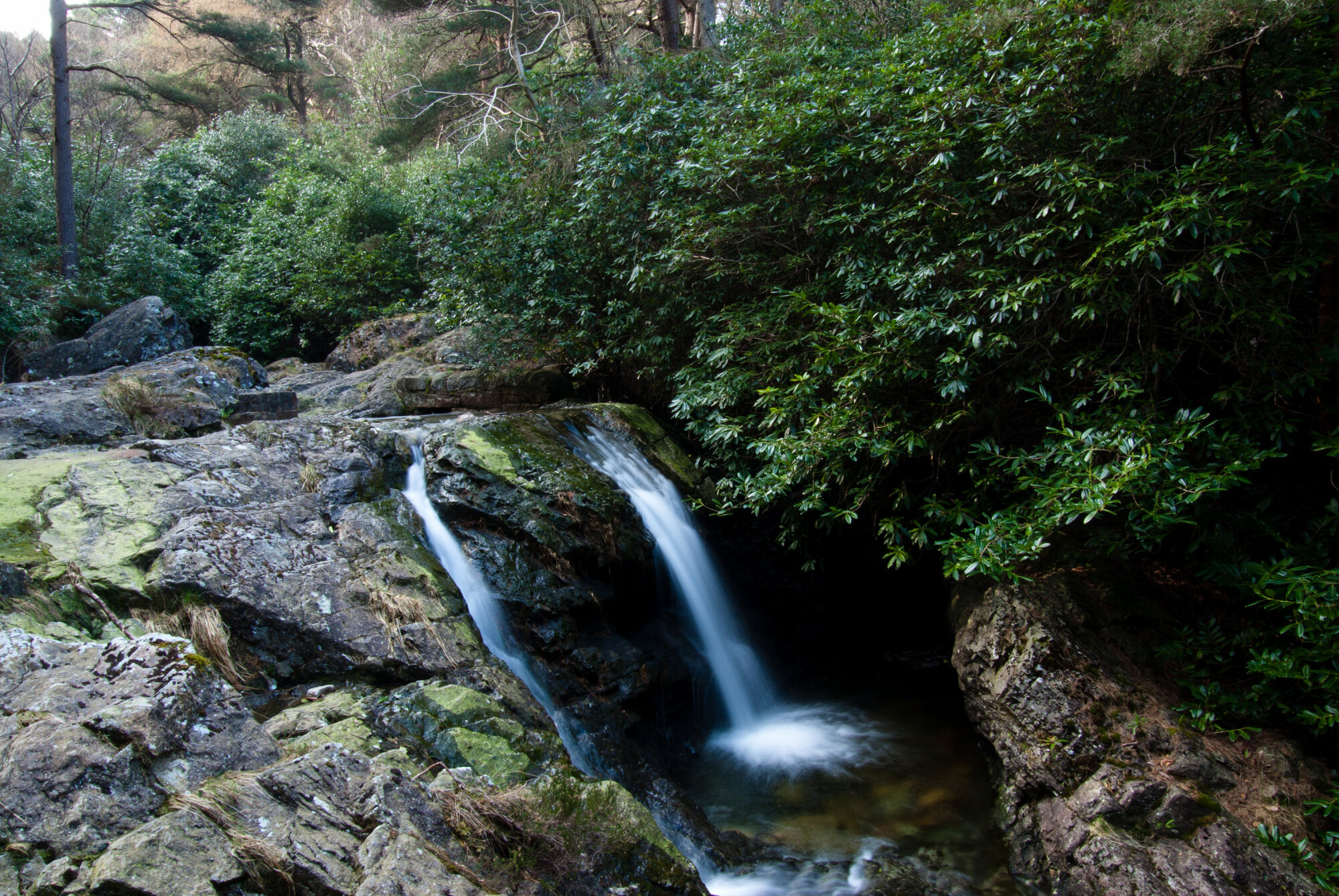 Waterfall on Glen River, Donard Wood, Newcastle