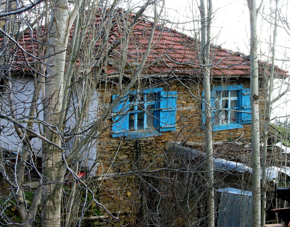 Blue Casements and Shutters