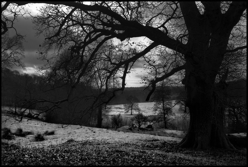Downland