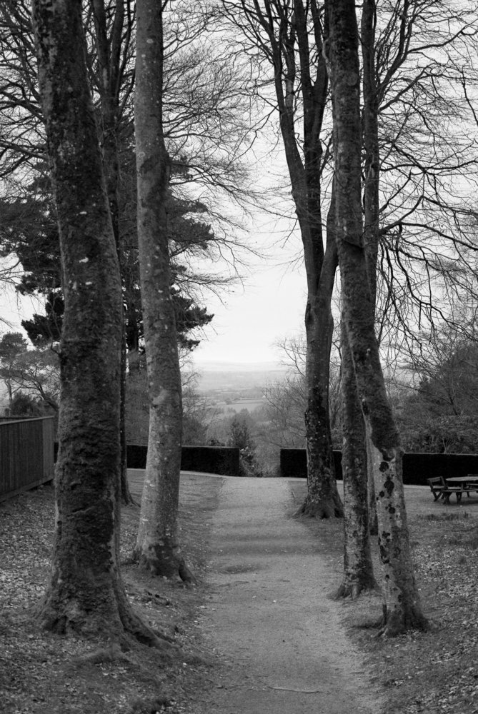 Path to Dartmoor