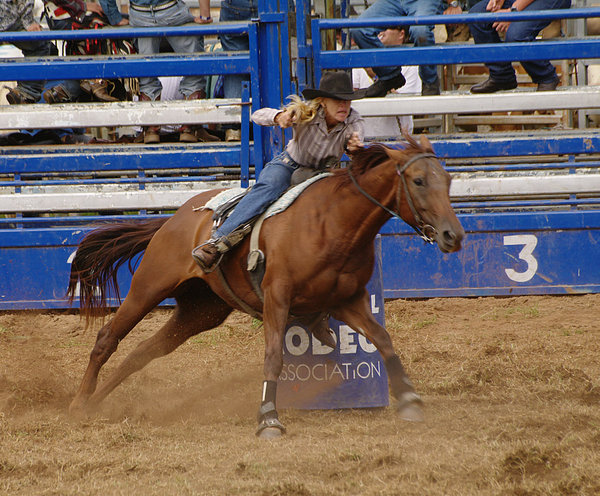 8335 Barrel Race