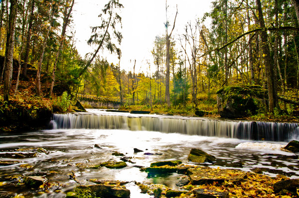 Colors of the fall