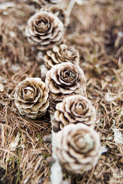 Cones