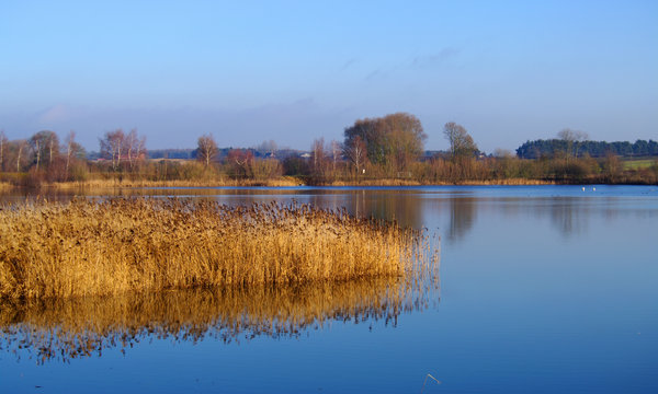 Hint of spring in January