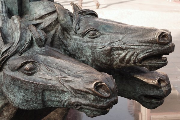 Horses
