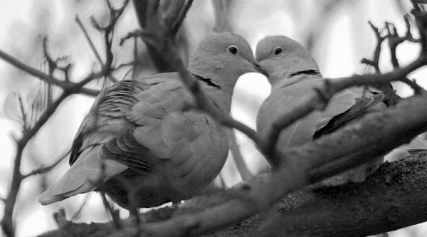 Kiss me quick.......
