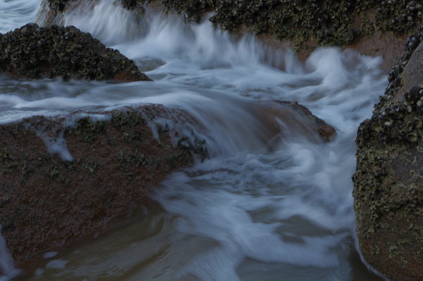 Magnetic Island Waves