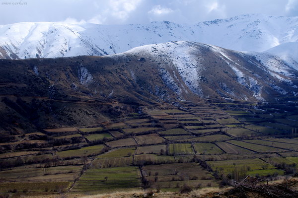 Mountain and Fields