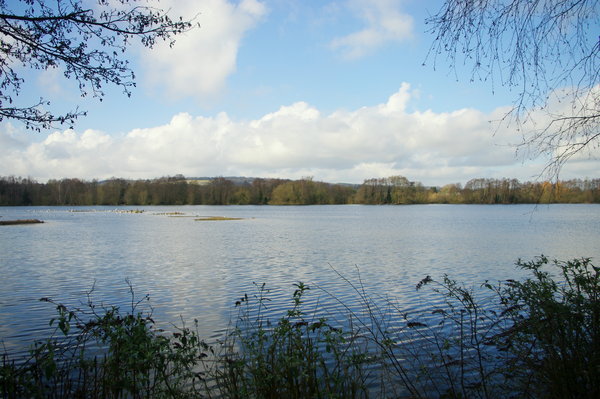 Sevenoaks nature reserve