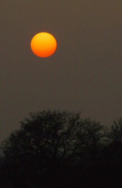 Sun set