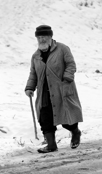The Old Highlander