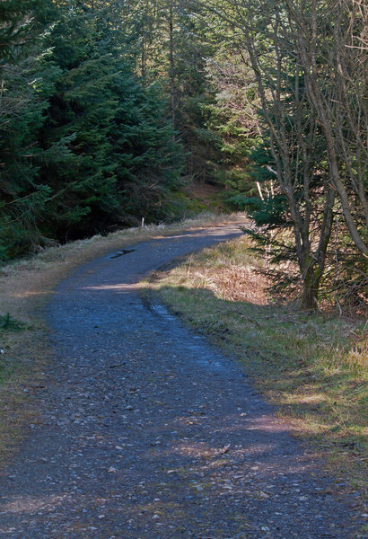 Winding Track