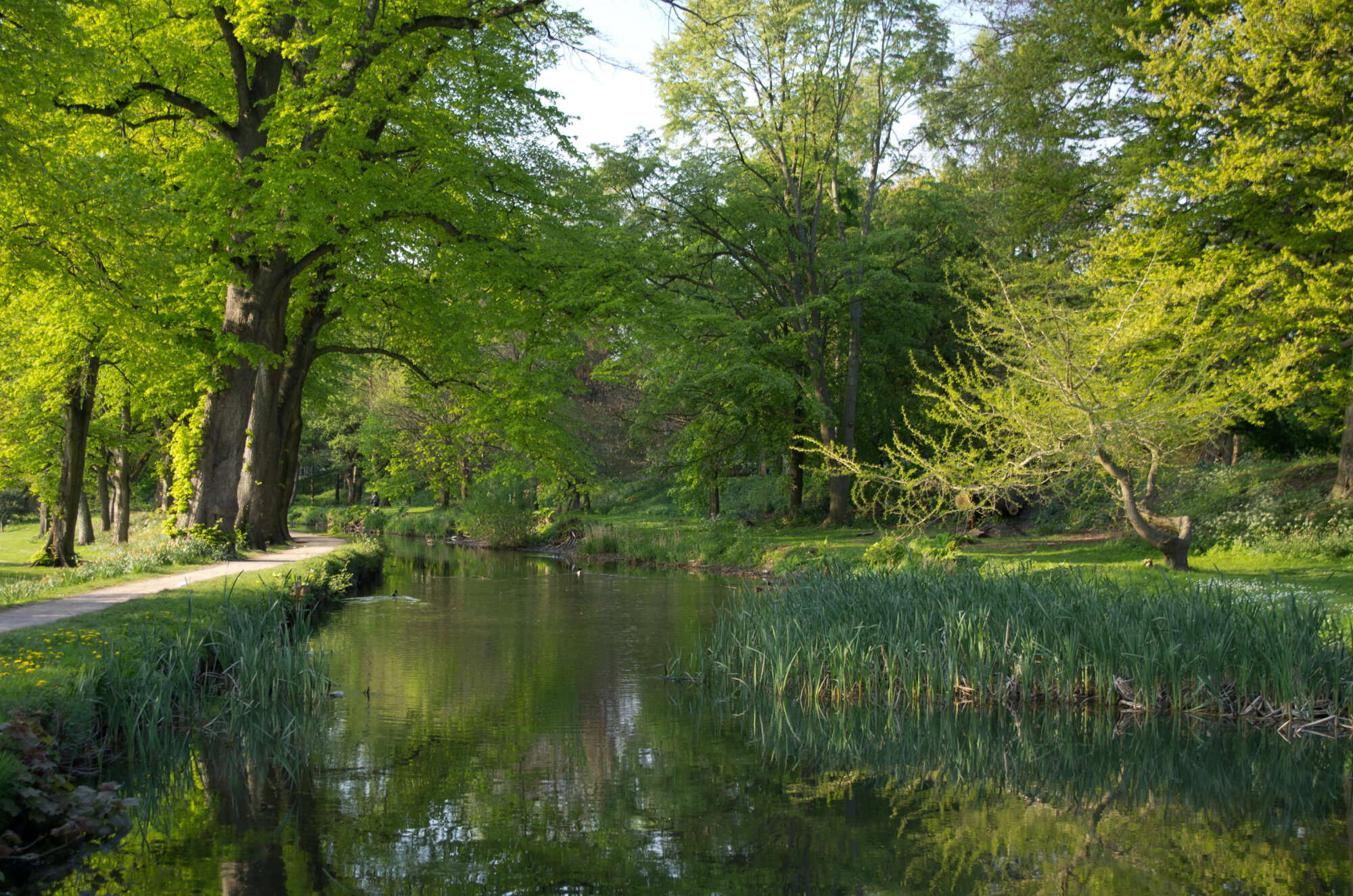 A river runs through it