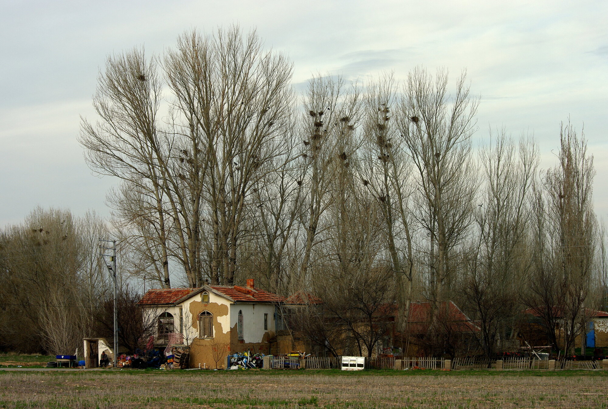 Junk Dealer's House