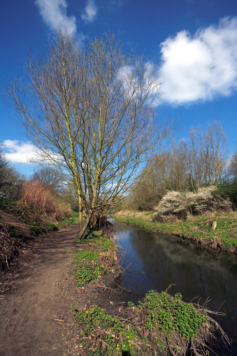 Riverbank