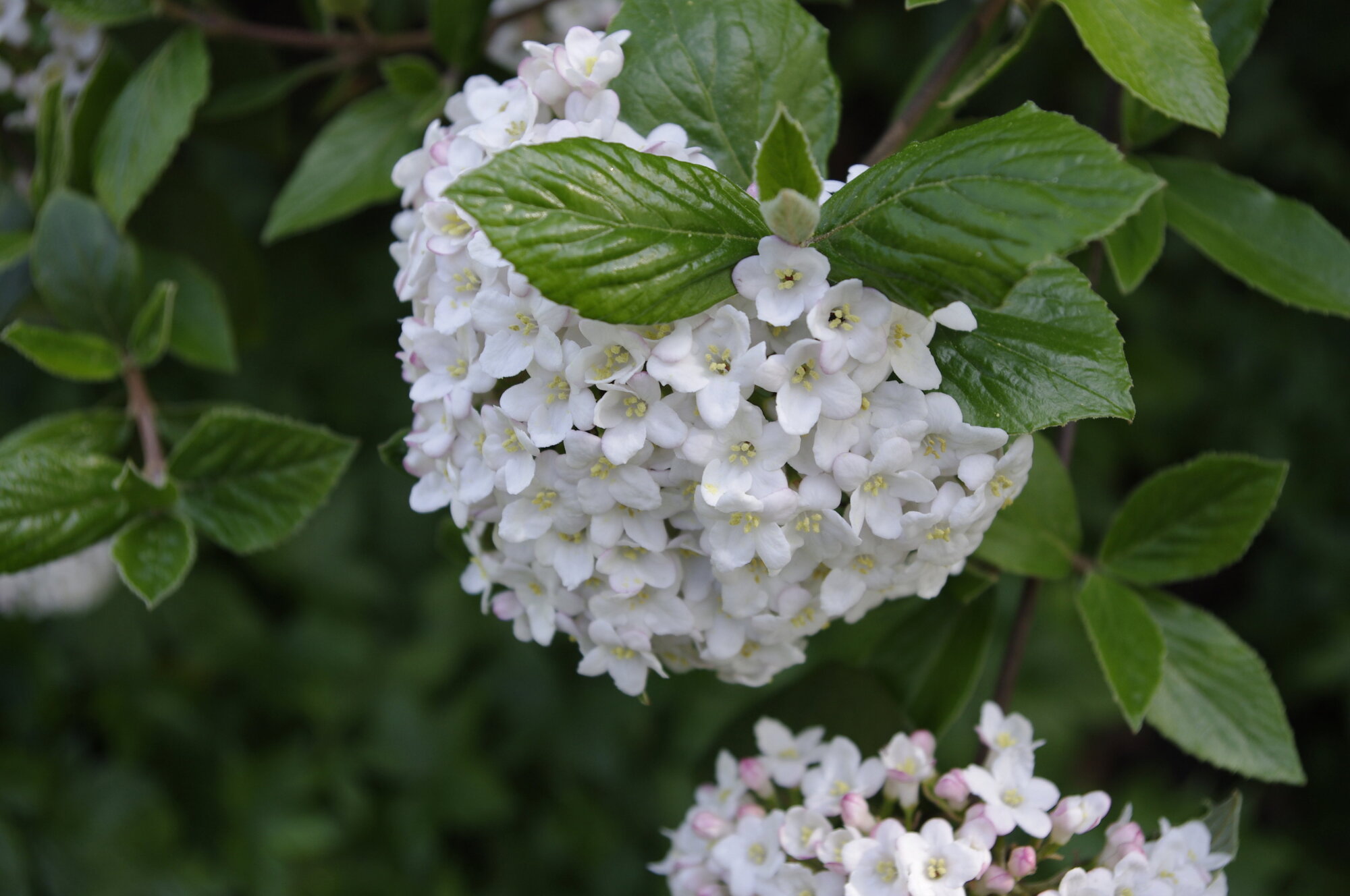 Springtime.