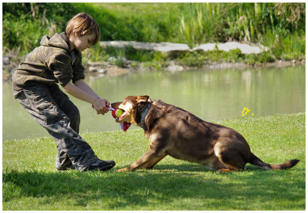 Tug of war