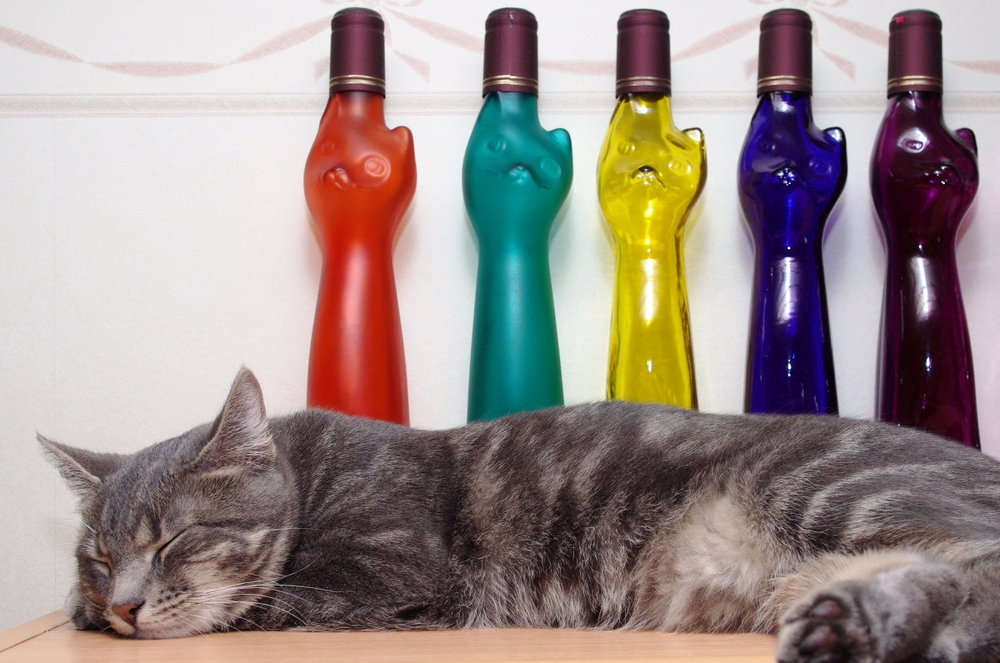 Cats
