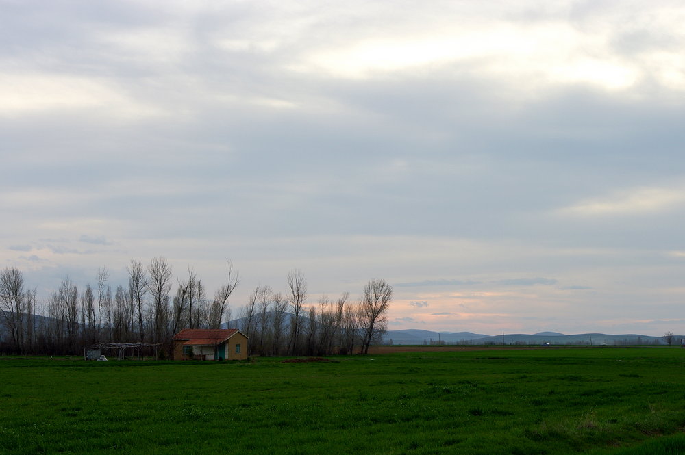 Fieldscape