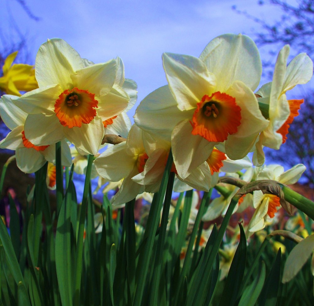 Let the sunshine!