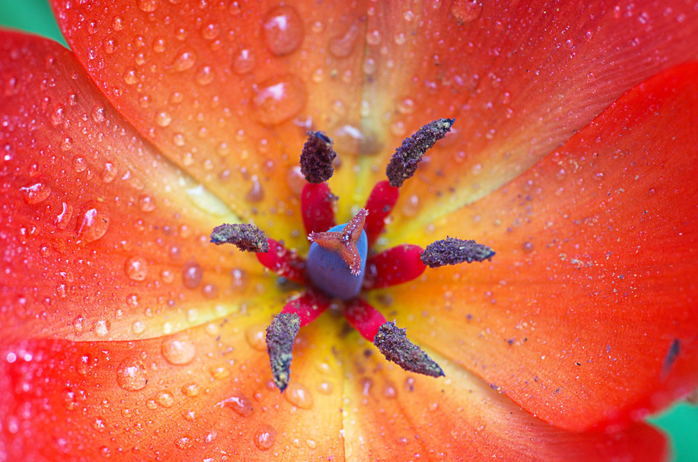 My first real macro