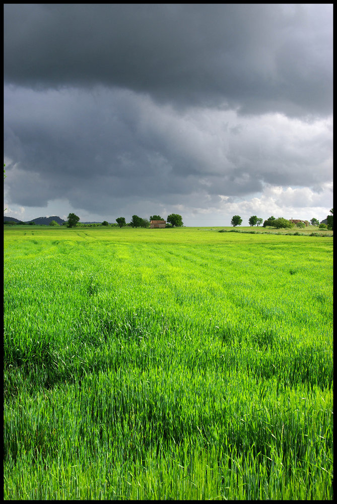 Wheat-field with Approachinging Storm
