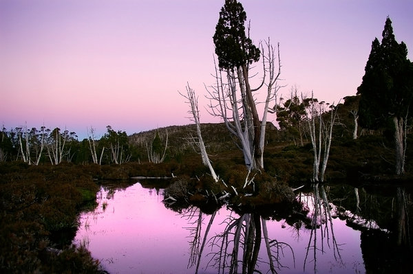 Afterglow, Wild Dog Creek