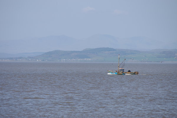 Fishing in Morecambe Bay