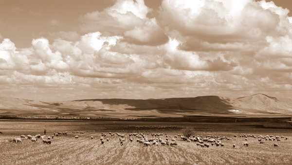Gathering to Rain
