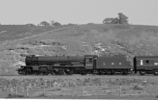 Lizziie in mono