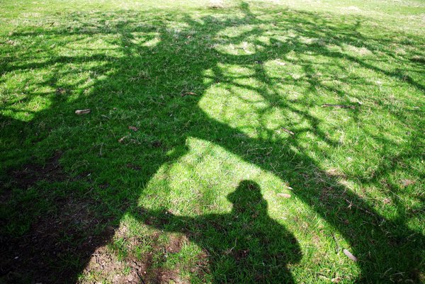 Me and a tree