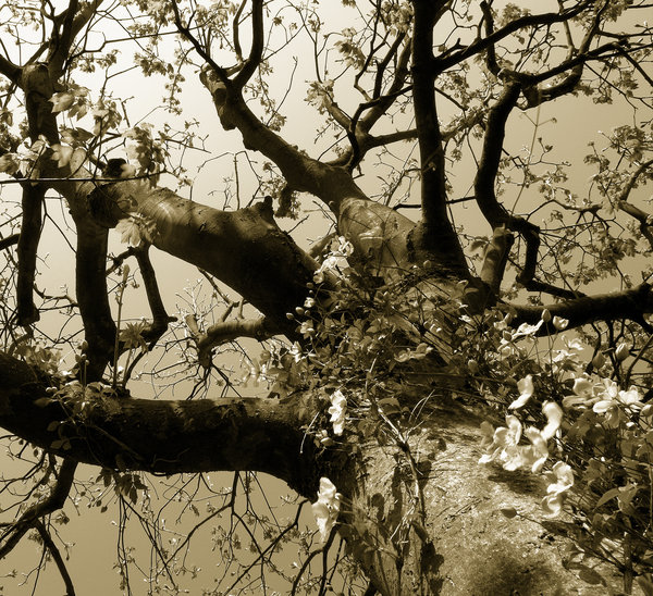 Meandering