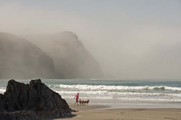 Sea Mist at Traeth Llyfn 2