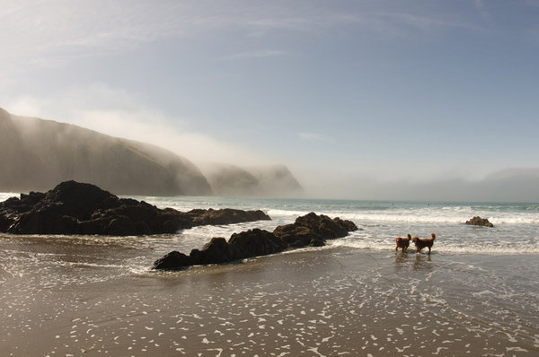 Sea Mist at Traeth Llyfn
