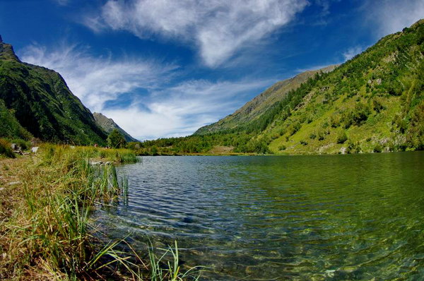 Trout lake
