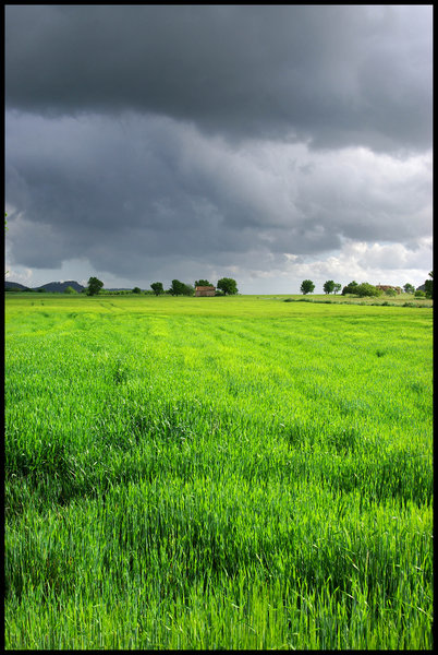 Wheat-field with Approachinging Storm