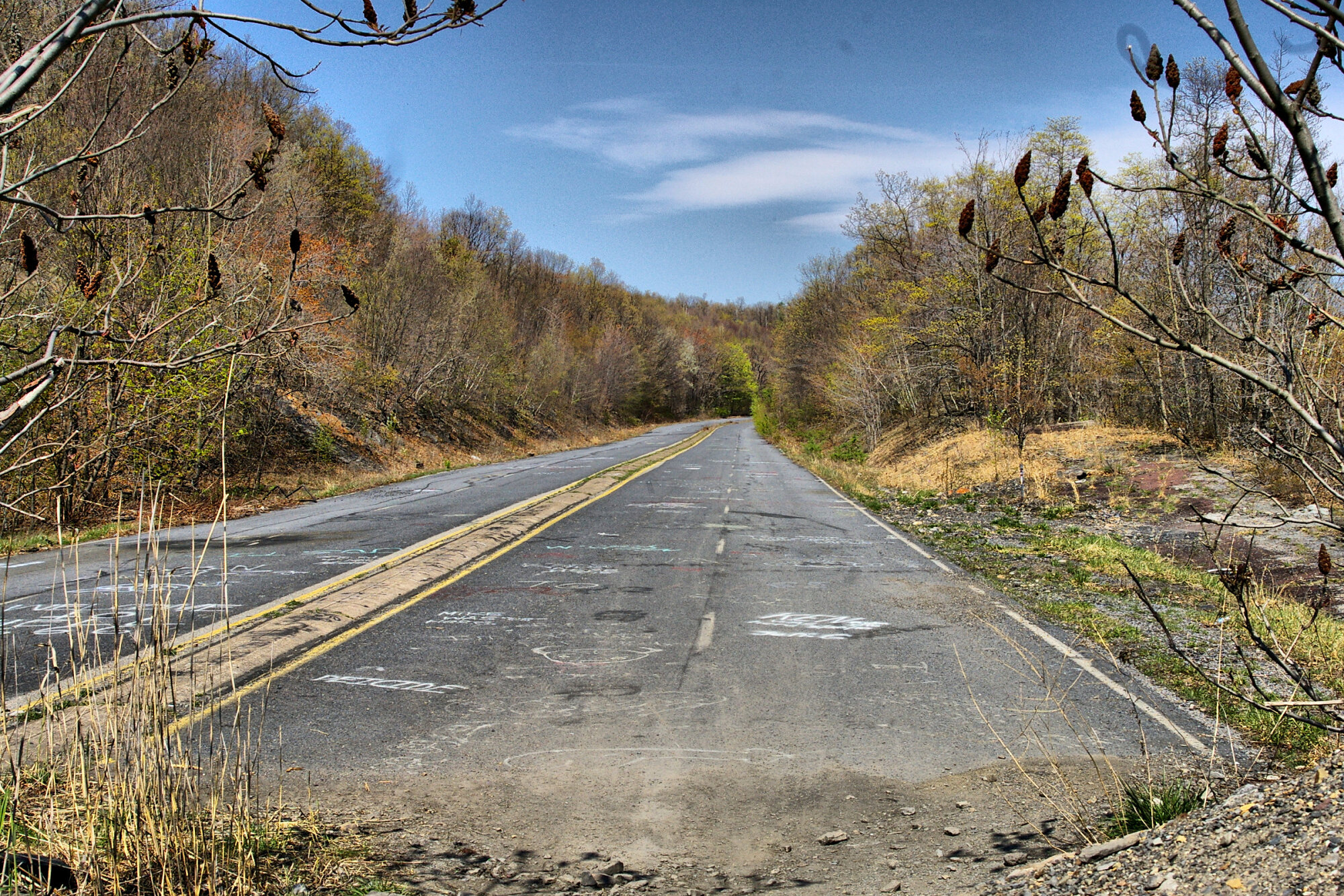 Abandoned Road