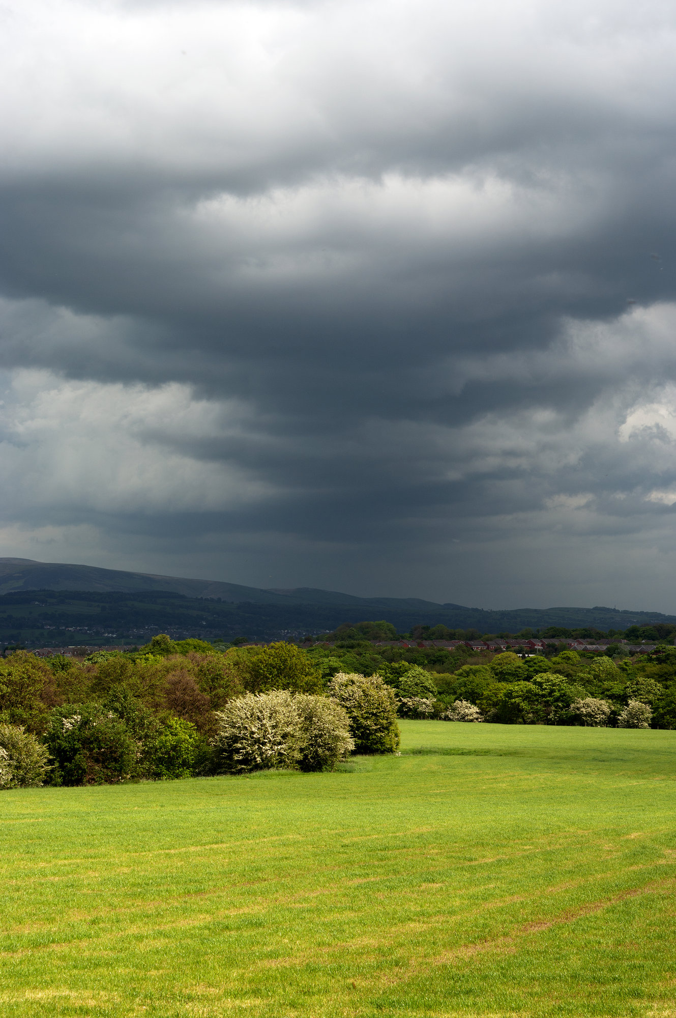Distant rain