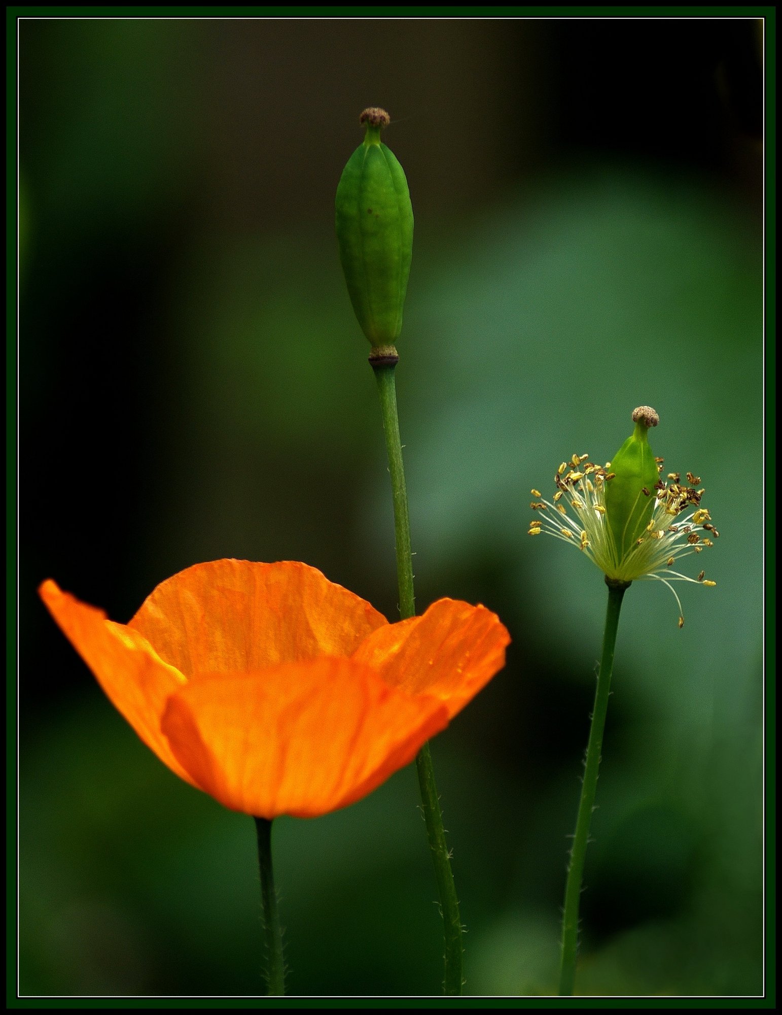 The beauty of Mother Nature