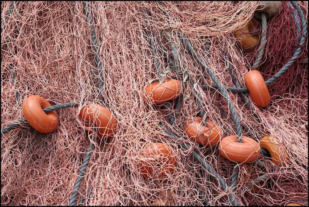Fishing Net with Floats