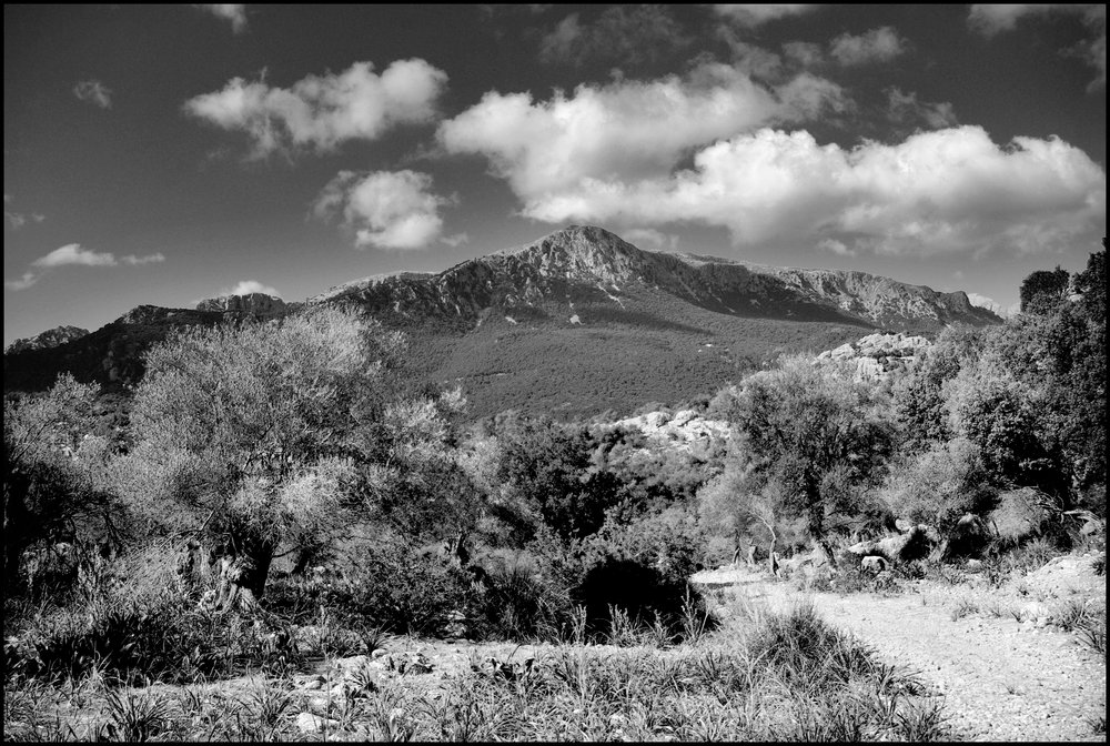Mountains of the North, Majorca