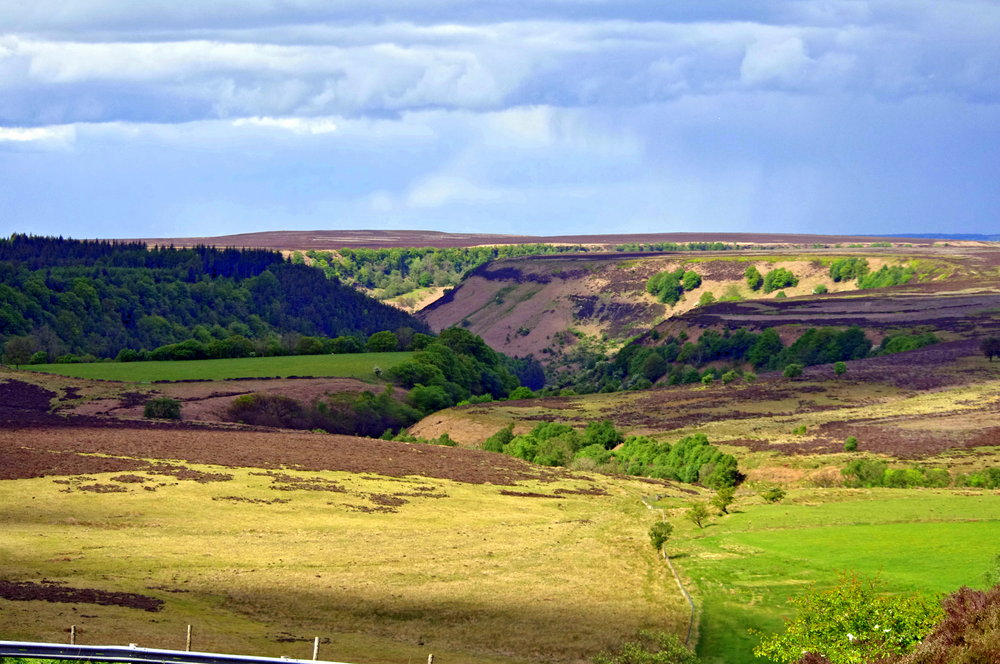 The Moors