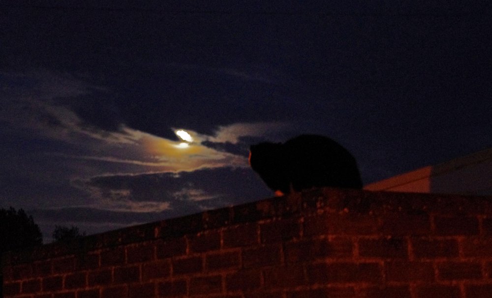 Under the Moon