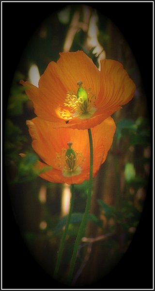 A touch of light