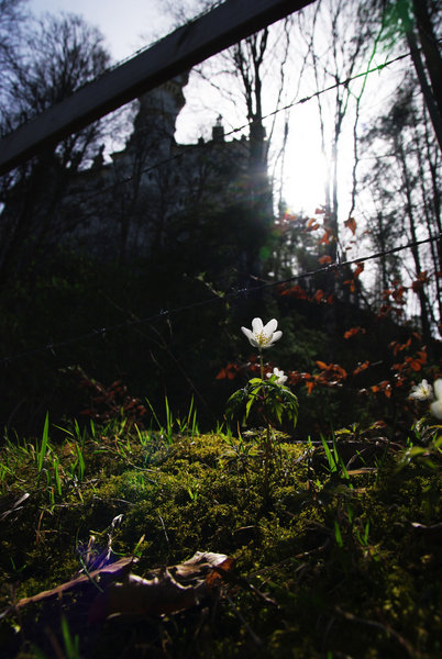 Ahhh Spring