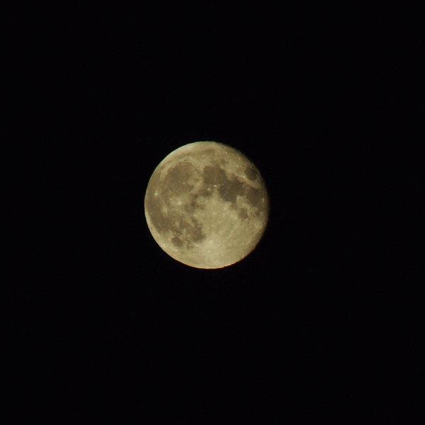 Almost full moon