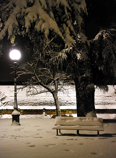 Bench under the snow n1