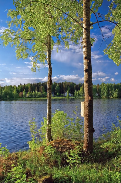 Bird House View of Lake
