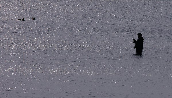 Fisherman