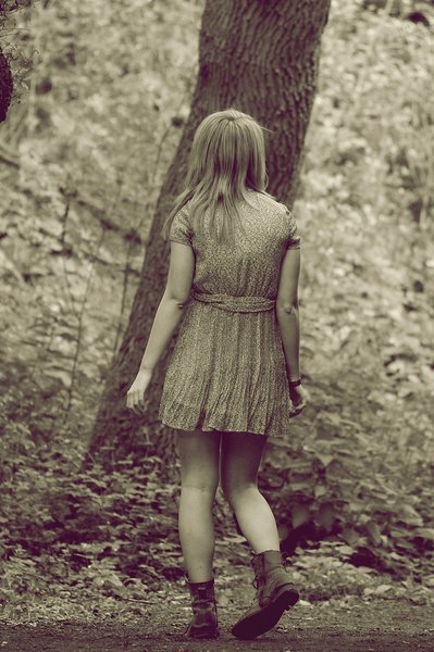 In the Forest